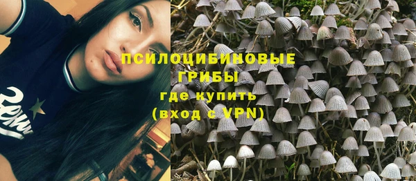 2c-b Алексеевка