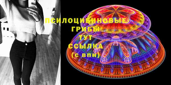 винт Алексин